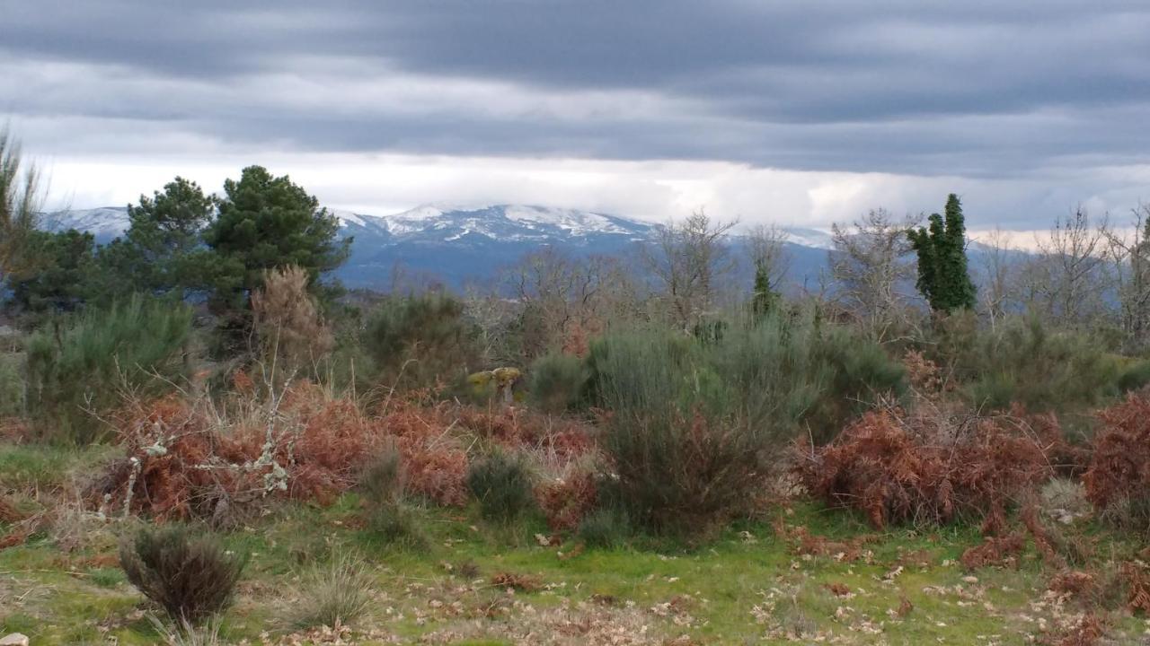 Casas Da Fraga - Serra Da Estrela Fornos de Algodres Ngoại thất bức ảnh