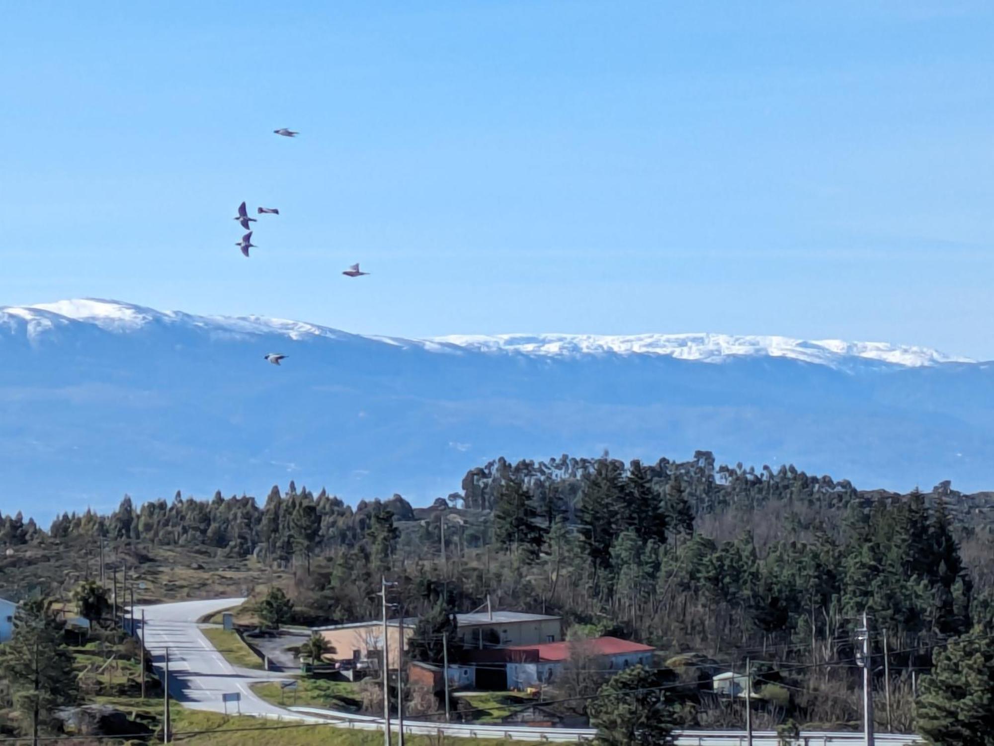 Casas Da Fraga - Serra Da Estrela Fornos de Algodres Ngoại thất bức ảnh