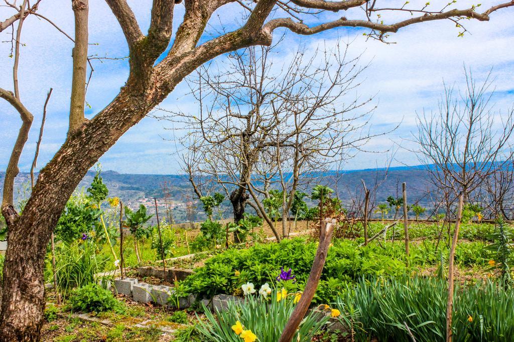 Casas Da Fraga - Serra Da Estrela Fornos de Algodres Ngoại thất bức ảnh