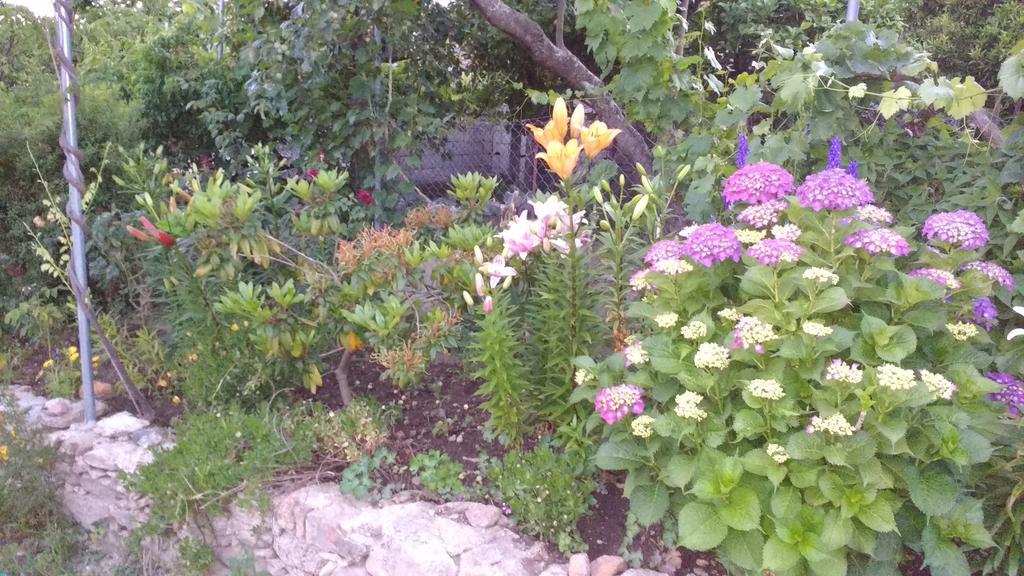 Casas Da Fraga - Serra Da Estrela Fornos de Algodres Ngoại thất bức ảnh